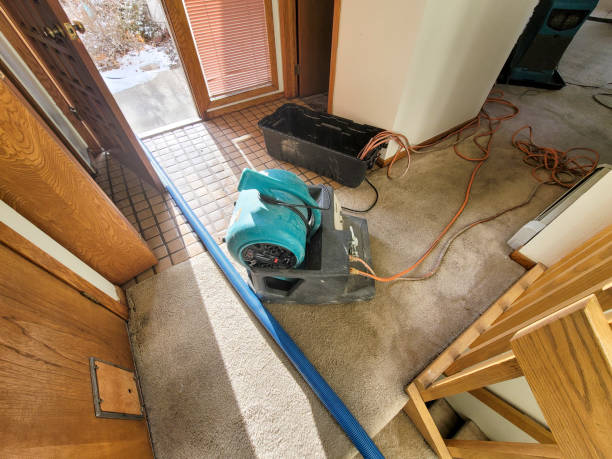 Best Flood restoration services  in Denmark, WI