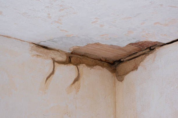 Best Residential water damage restoration  in Denmark, WI