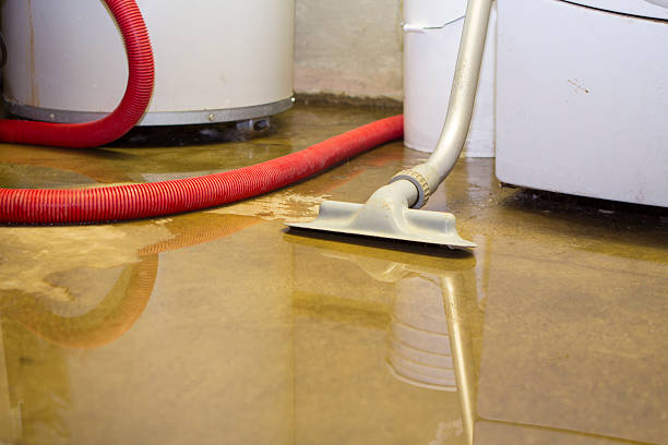 Best Sewage cleanup and water damage restoration  in Denmark, WI