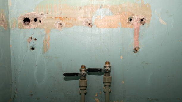 Best Carpet water damage restoration  in Denmark, WI