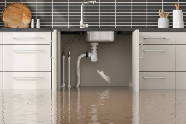 Best Flood damage cleanup  in Denmark, WI