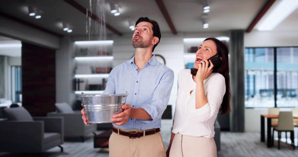 Best Commercial water damage restoration  in Denmark, WI